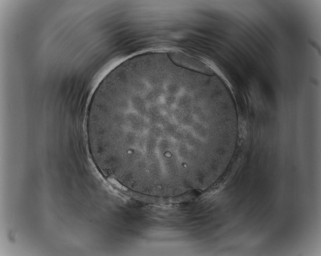X0000103430959200809121326