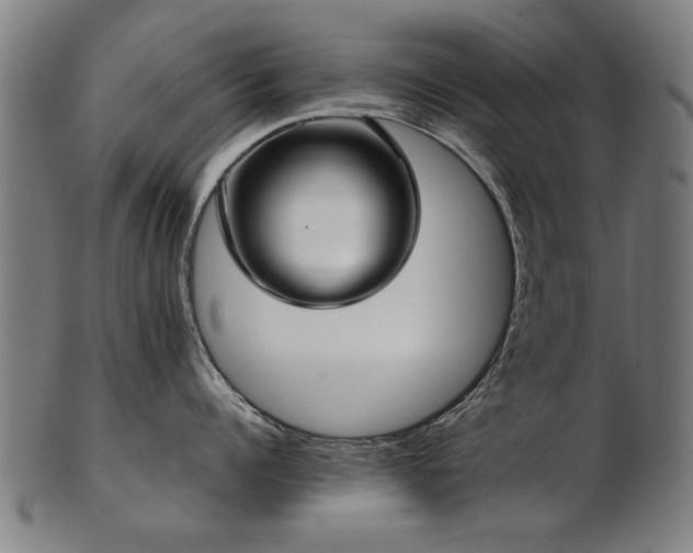 X0000103430960200809121326