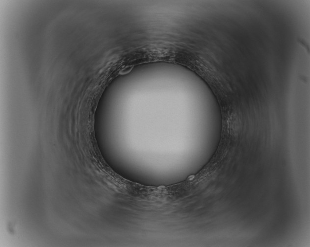 X0000103430961200809121326