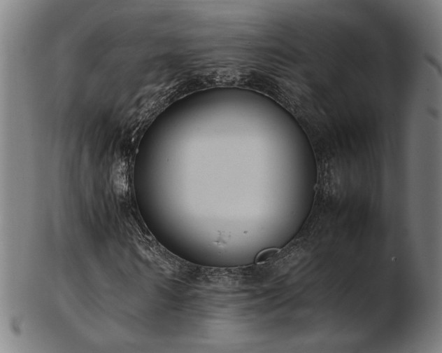 X0000103430962200809121326
