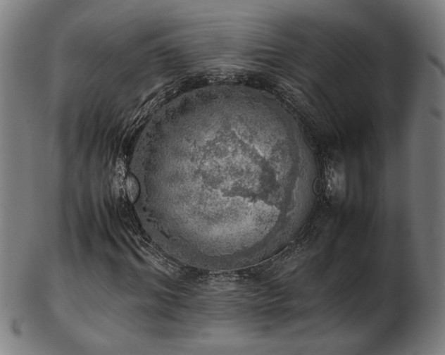 X0000103430964200809121326