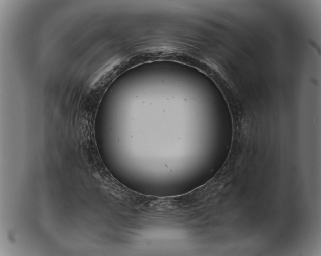 X0000103430967200809121326