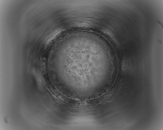 X0000103430968200809121326