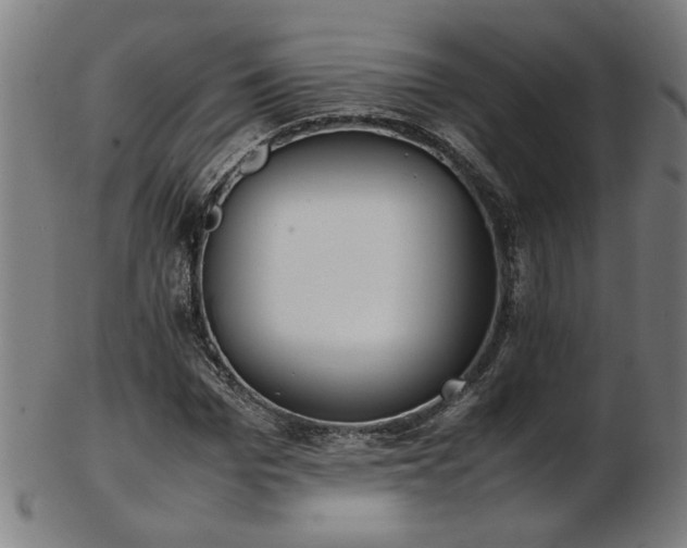 X0000103430969200809121326