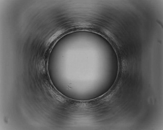 X0000103430970200809121326