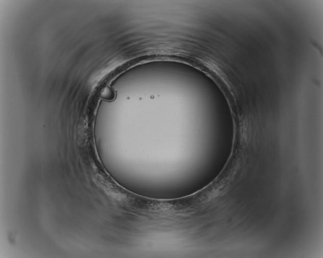 X0000103430971200809121326