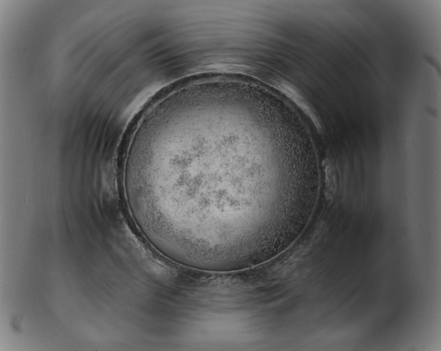 X0000103430972200809121326