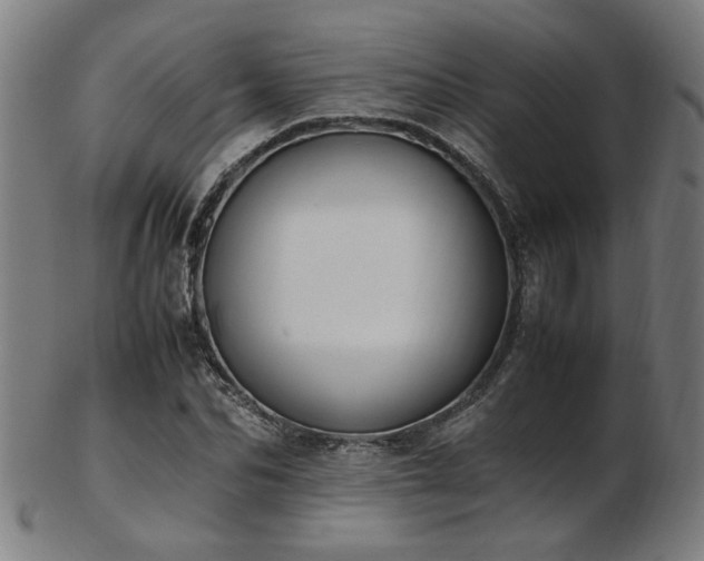 X0000103430974200809121326