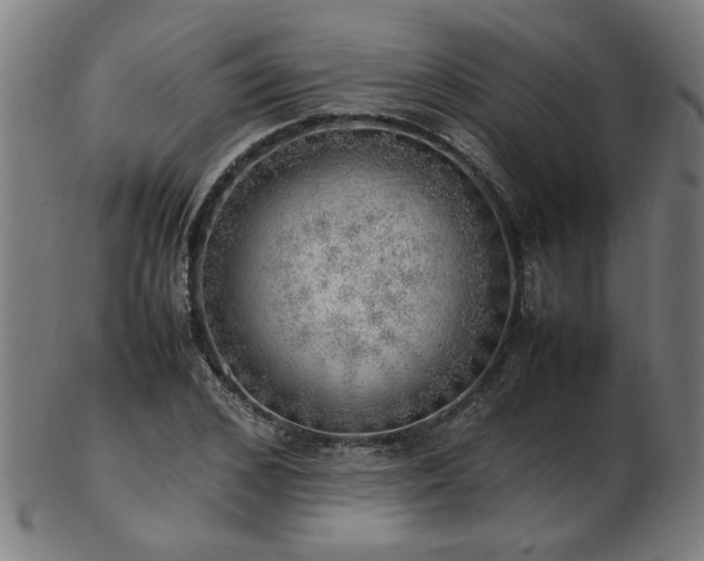 X0000103430976200809121326