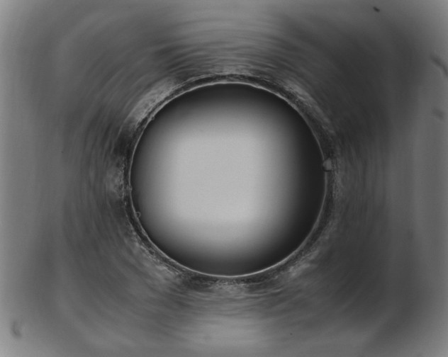 X0000103430977200809121326
