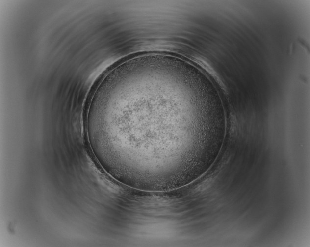 X0000103430980200809121326