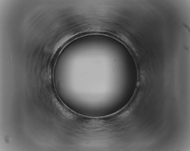 X0000103430981200809121326