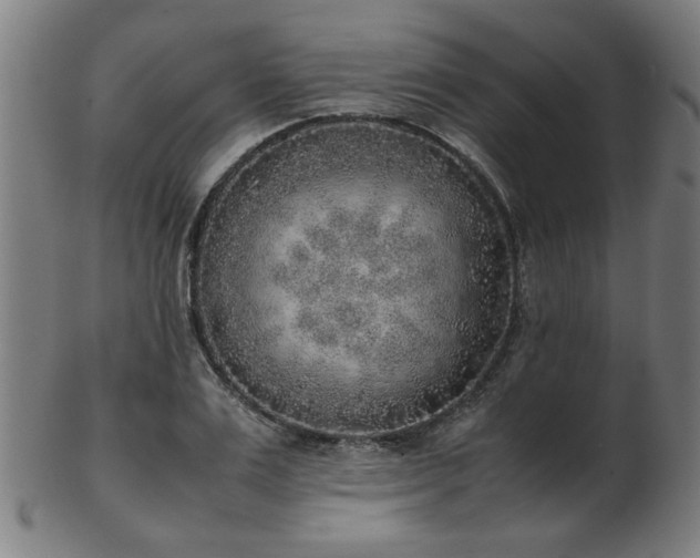 X0000103430983200809121326