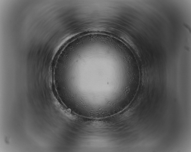 X0000103430984200809121325