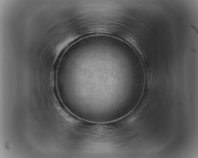 X0000103430987200809121325