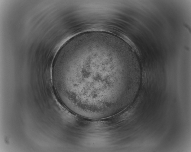 X0000103430988200809121325