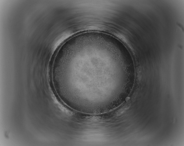 X0000103430991200809121325