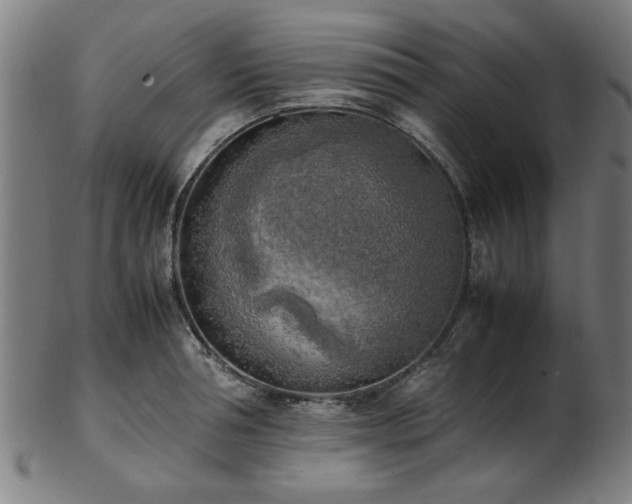 X0000103430994200809121325