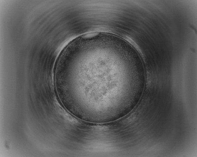 X0000103430996200809121325