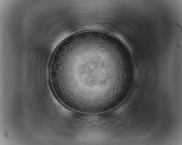 X0000103430999200809121325