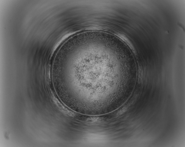 X0000103431000200809121325