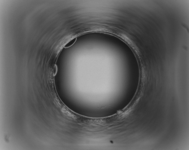 X0000103431001200809121325