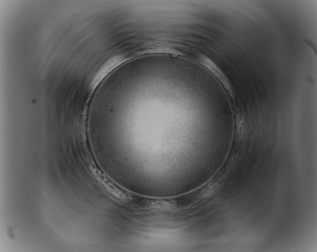 X0000103431002200809121325
