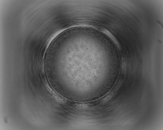 X0000103431004200809121325