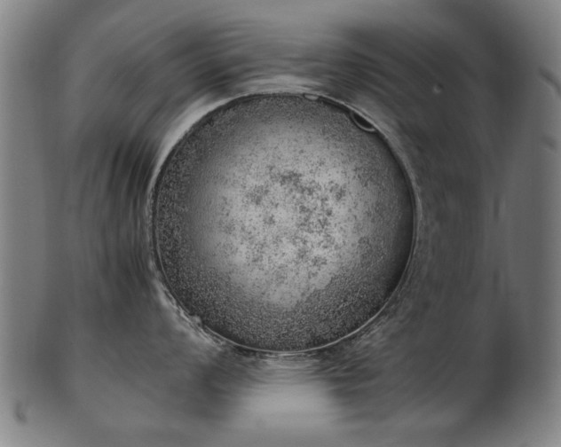 X0000103431008200809121325