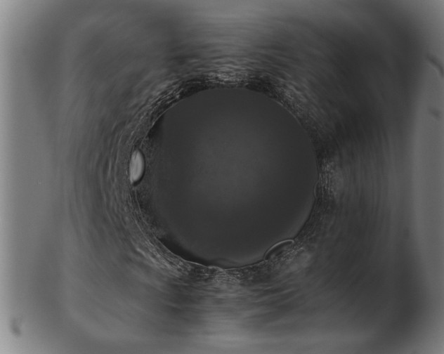 X0000103431009200809121325