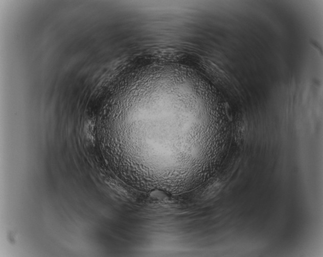 X0000103431010200809121325
