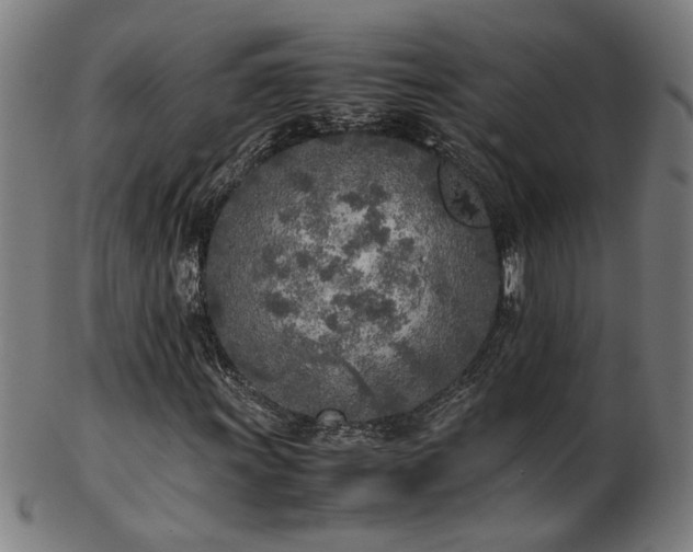 X0000103431011200809121325