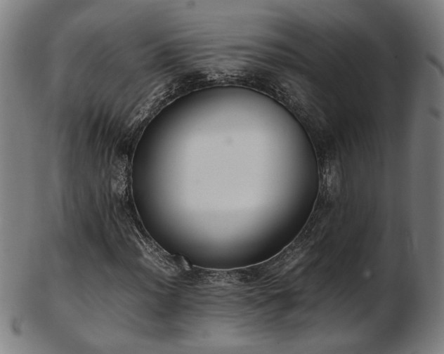 X0000103431012200809121325