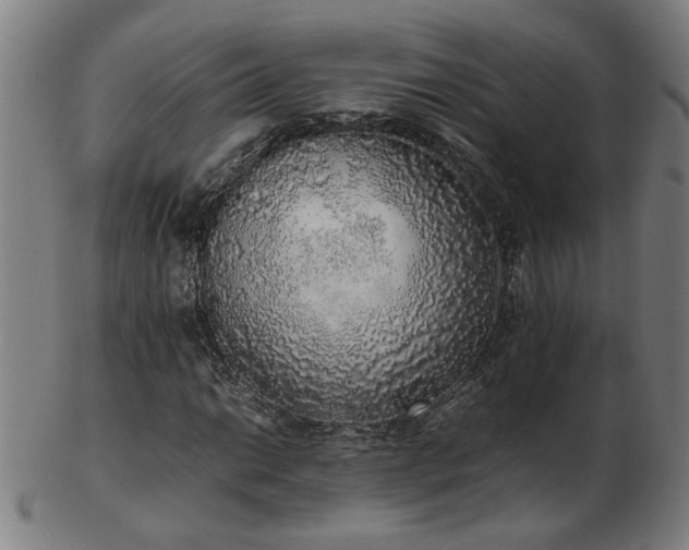 X0000103431014200809121325