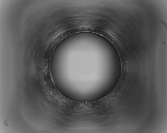X0000103431015200809121325