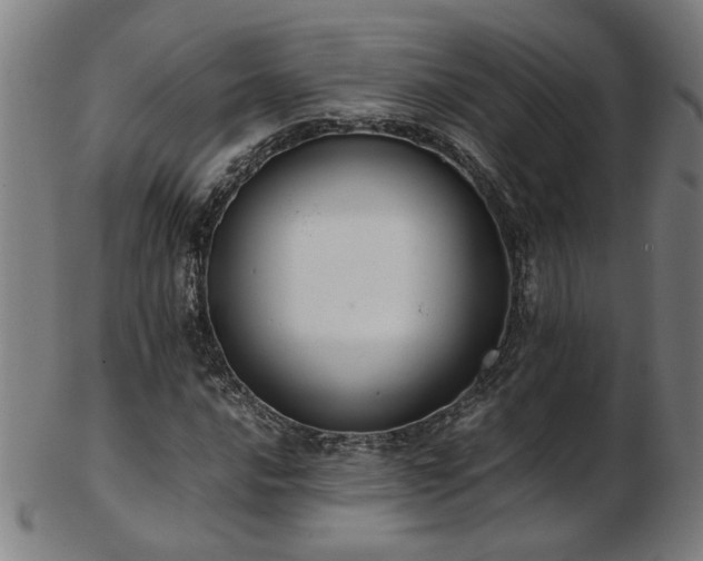 X0000103431016200809121325