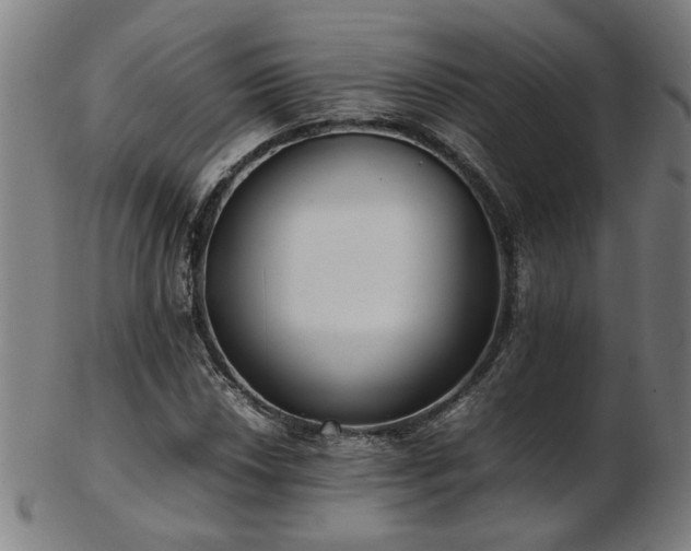 X0000103431018200809121325