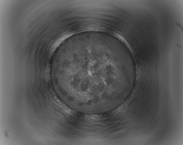 X0000103431019200809121325