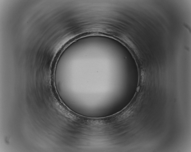 X0000103431020200809121325