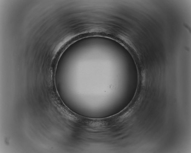 X0000103431021200809121325