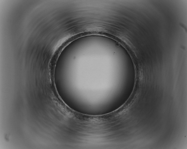 X0000103431022200809121325