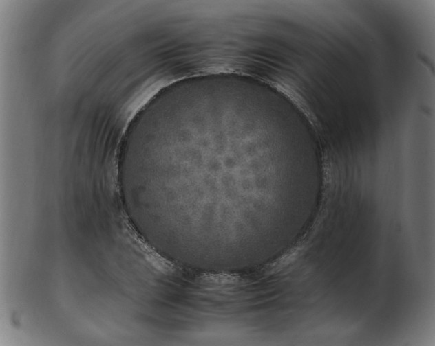 X0000103431023200809121325
