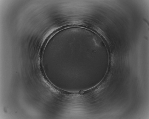 X0000103431024200809121325