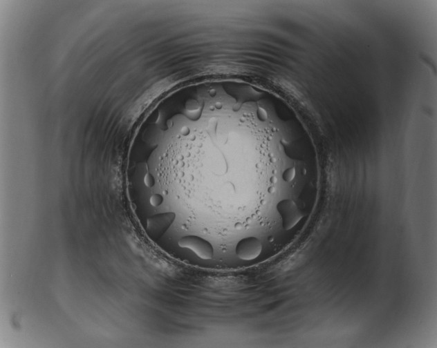 X0000103431025200809121325