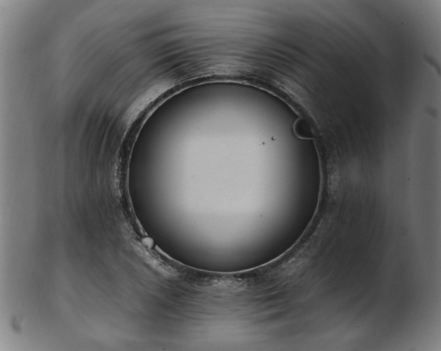 X0000103431026200809121325