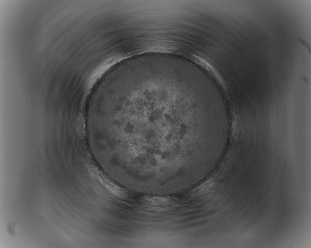 X0000103431027200809121325