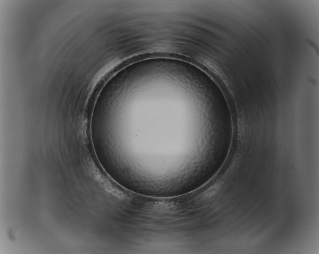 X0000103431029200809121325