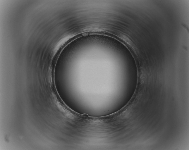 X0000103431030200809121325