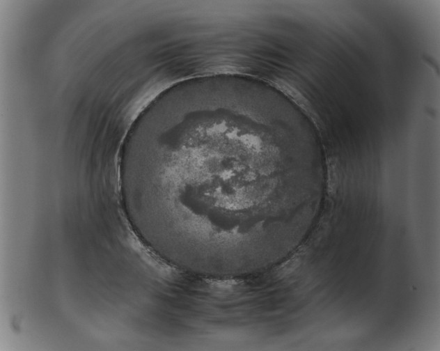 X0000103431031200809121325