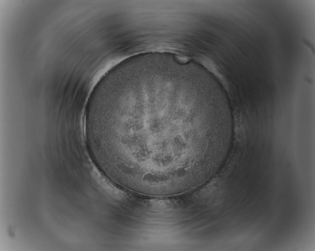 X0000103431032200809121325